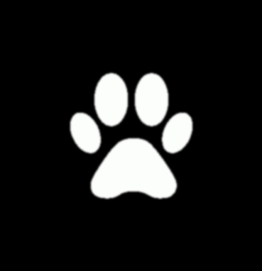 Urnes pour animaux